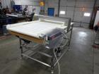 Safeline Metal Detector Model Sl2000